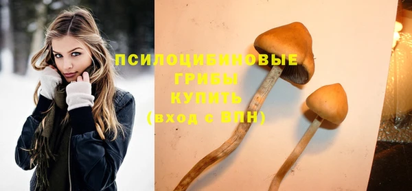 jwh Ладушкин