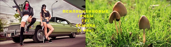 mdpv Кулебаки
