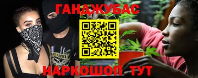 ешки Кингисепп