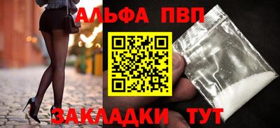 ешки Кингисепп