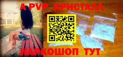 ешки Кингисепп