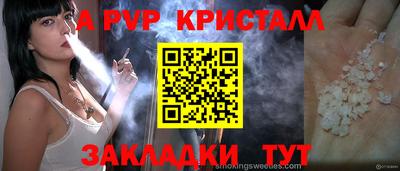 ешки Кингисепп