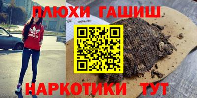 ешки Кингисепп