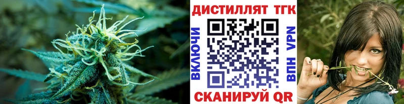 магазин продажи наркотиков  Назрань  ссылка на мегу как зайти  ТГК гашишное масло 