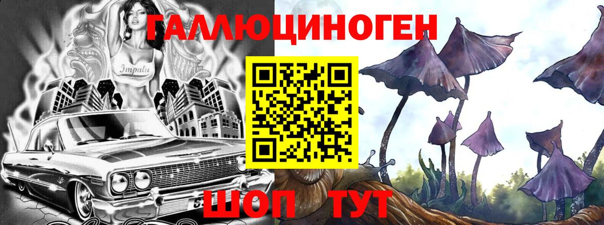 Галлюциногенные грибы MAGIC MUSHROOMS  Галлюциногенные грибы GOLDEN TEACHER  Назрань  Вход с VPN 
